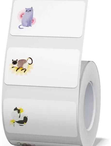 NIIMBOT T40x20-320 Thermal Label Cat White